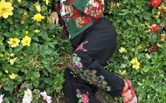 老司机精品在线